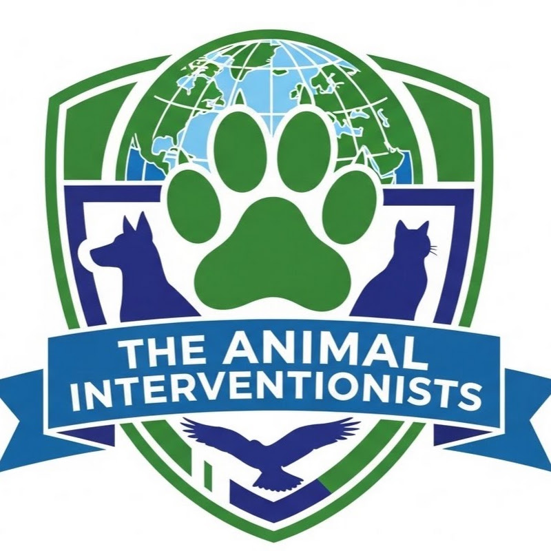 The Animal Interventionists profile avatar