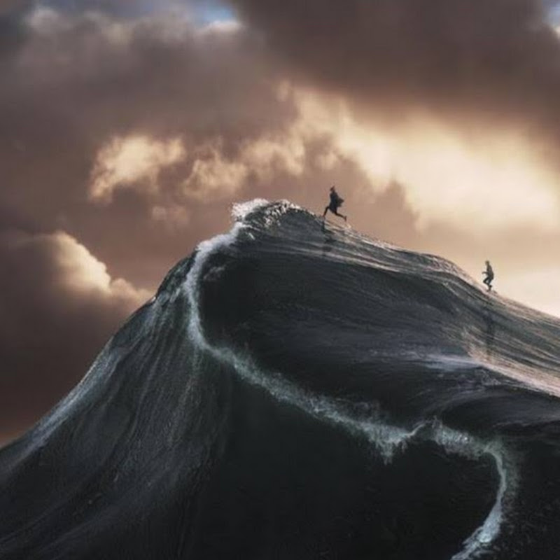 Romanenko Shorts Logo