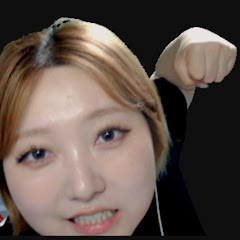 개헛소리스트리머 헛개