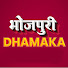 L6gNbJlcnoU-channel-avatar-Bhojpuri Dhamaka