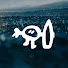 MM4a-hSzoB4-channel-avatar-Surf Simply Stories