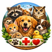 Animal Survival