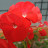 @박일화-p5f
