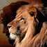 qoitdZKOl4g-channel-avatar-Canal Cristo vive