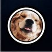 Val Pets Academy
