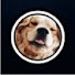 fQyy5KZASx4-channel-avatar-Val Pets Academy