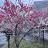 @HeavenNepal