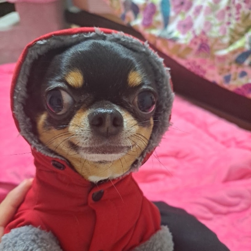 삥미남