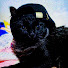 6UkpxB_bEEM-channel-avatar-Wizon