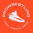 vuaymBYSmmA-channel-avatar-PROWRESTLING