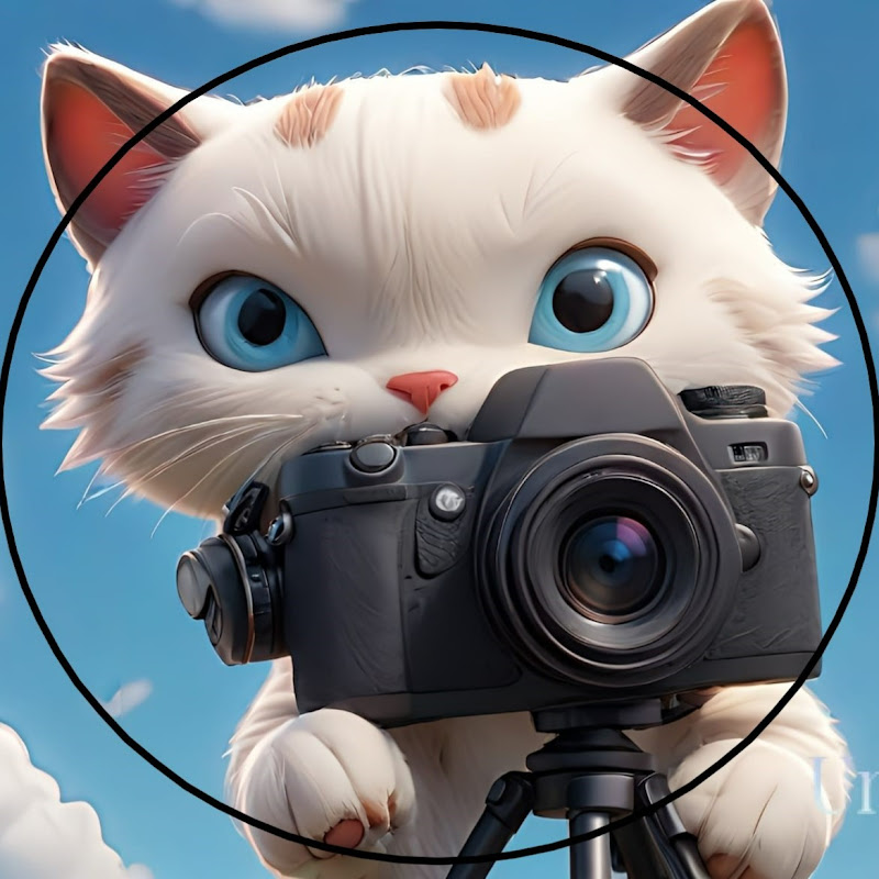 SAMSAM週街走 Logo