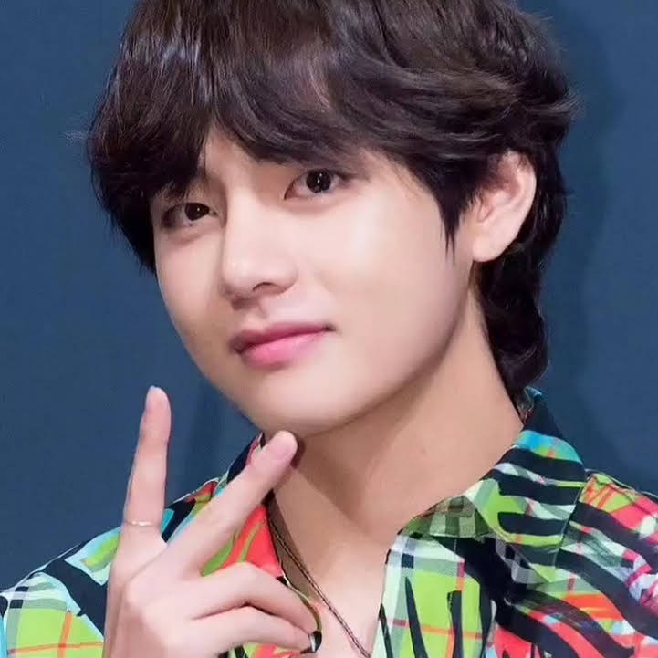 Post from BTS army girl modhu