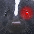 HJYjw-YZlUU-channel-avatar-CyberSkunkTV