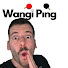 PIqynGQJExM-channel-avatar-Wangiping 🏓