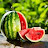 @Watermelon__-_
