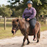 V-SxDpe0s94-channel-avatar-Horse rider 2