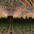 nODaJgB4DjM-channel-avatar-hallelumaybe