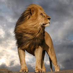 El Rey de Reyes Vive