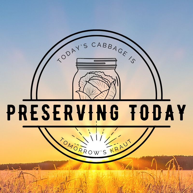 Preserving Today
