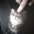 wlYQhrj5tH0-channel-avatar-H1raeth.0