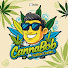 Nz8niKT4Fh8-channel-avatar-CannaBob