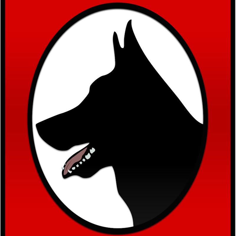 Kraftwork K9 Pro