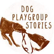 Dog Playgroup Stories
