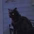 CxwYr09Y3WQ-channel-avatar-loony lupin 