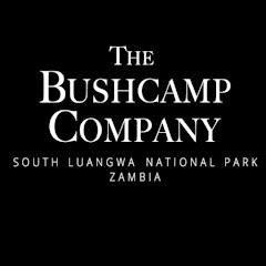 The Bushcamp Company / Mfuwe Lodge net worth