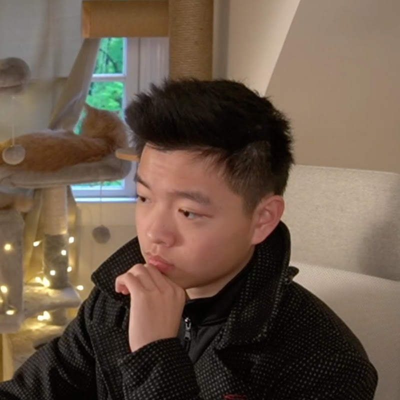 Brad Studies icon