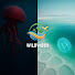 eXZ5iX8dSlo-channel-avatar-WildVibes clips