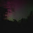 @Salix-22.6