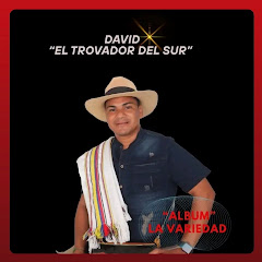 David El Trovador Del Sur
