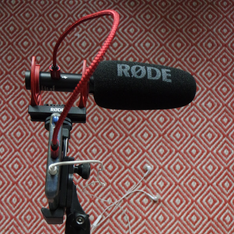 Independent News Media