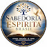 SbWfcf6yrBk-channel-avatar-Vivendo o Espiritis