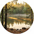 K5gZPo_gneA-channel-avatar-Natural Calm Sounds