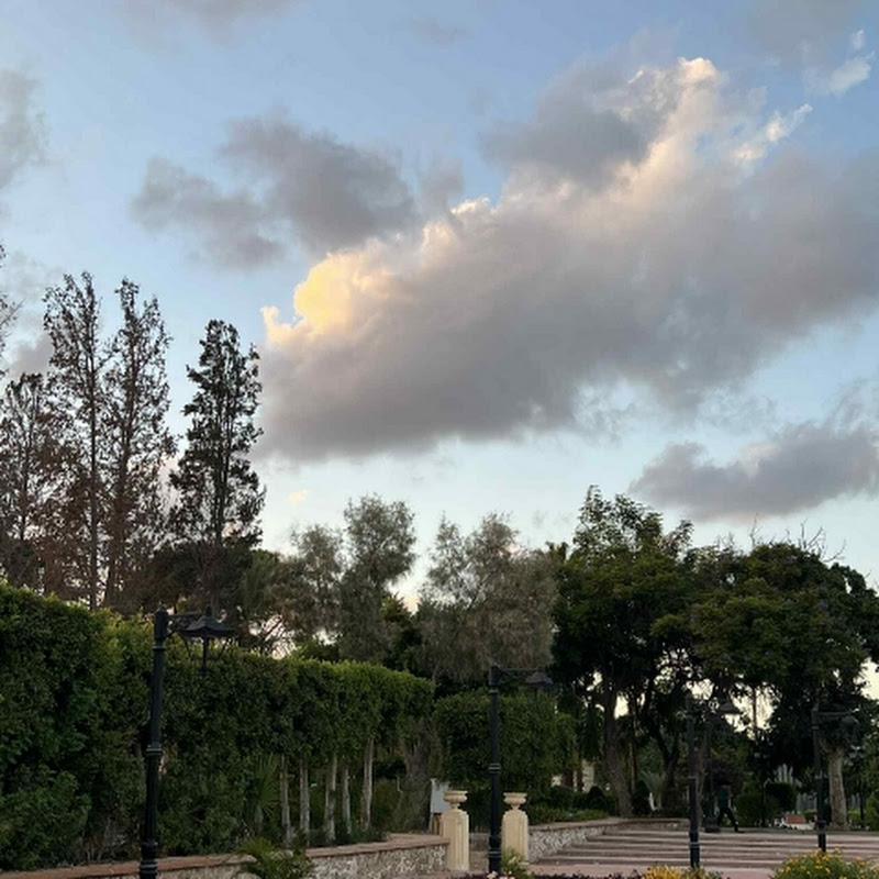 قران كريم🤍🌱