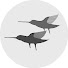 142Hv6bf2-0-channel-avatar-พุทธวจนเรียล Buddhawajana Real