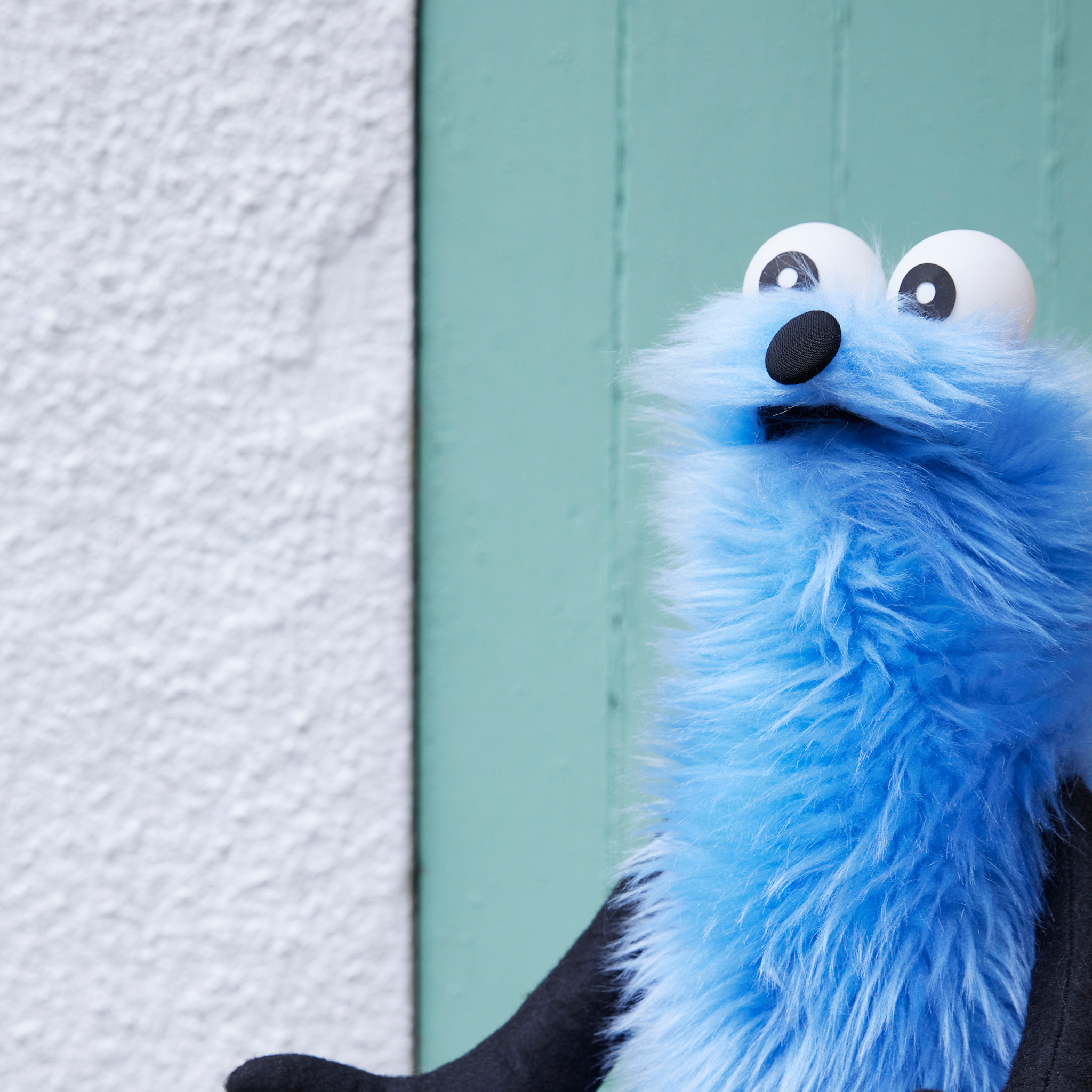 an6y37lTaIrbMV6xCUEt6LsVGzfcPO