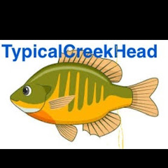 TypicalCreekHead