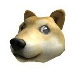 dogeboicool13