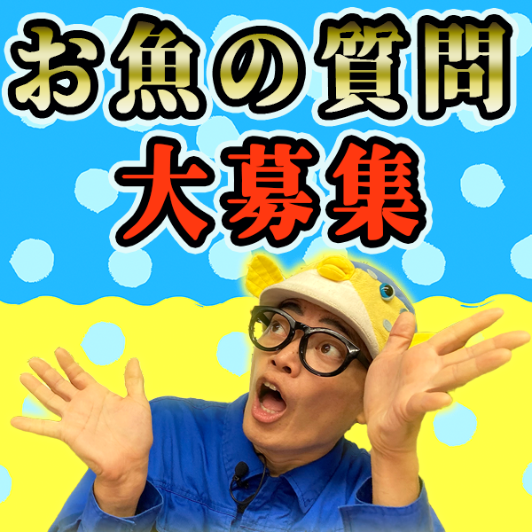 さかなクンちゃんねる - FISH BOY - Sakana-kun - YouTube