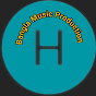 Bangla Music Production  logo