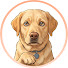 x55hMpUc03Q-channel-avatar-Unlearn Dogs