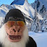 iSczSvIvf80-channel-avatar-Some Nobody