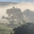 MQvcjzFMNdI-channel-avatar-New Horizons in Romanticism and Gothic Studies