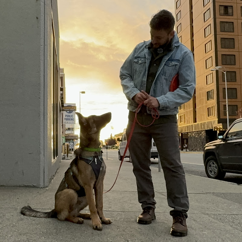 Zak George’s Dog Training Revolution