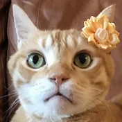 チャーボとミーコ