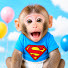 gd8L2Rwf0XY-channel-avatar-BonBon Monkey Thailand