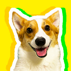 おでかけワン【犬連れ(中型犬)旅行・観光・お出かけ】アイコン画像